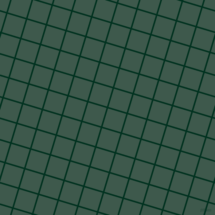 73/163 degree angle diagonal checkered chequered lines, 5 pixel lines width, 62 pixel square size, Dark Green and Plantation plaid checkered seamless tileable