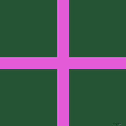 checkered chequered horizontal vertical lines, 48 pixel line width, 466 pixel square size, Free Speech Magenta and Kaitoke Green plaid checkered seamless tileable