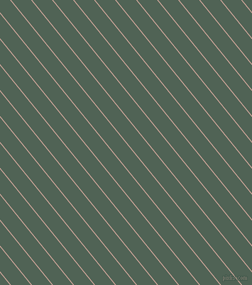 129 degree angle lines stripes, 1 pixel line width, 22 pixel line spacing, angled lines and stripes seamless tileable