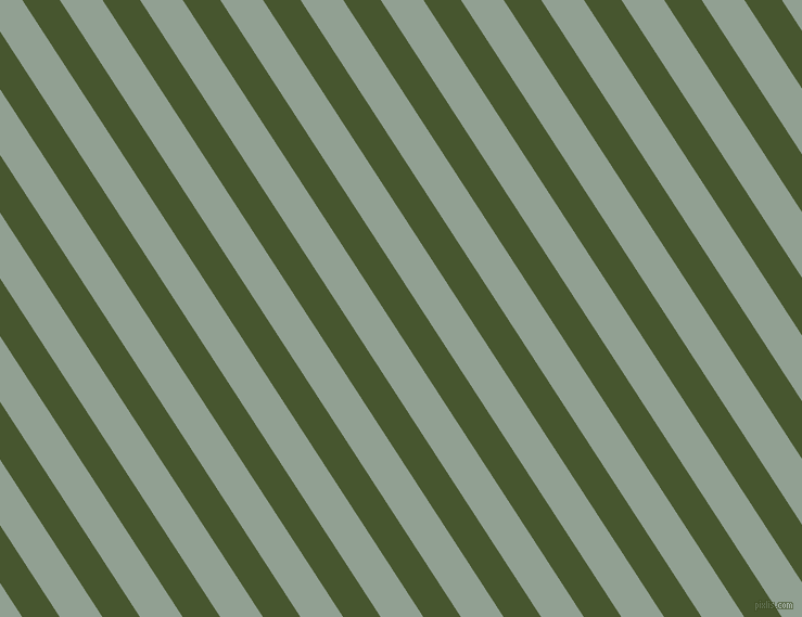 123 degree angle lines stripes, 29 pixel line width, 33 pixel line spacing, Clover and Pewter angled lines and stripes seamless tileable