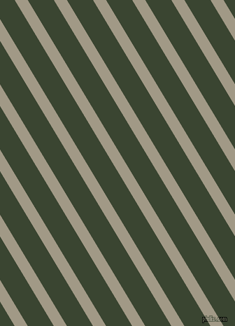 121 degree angle lines stripes, 16 pixel line width, 32 pixel line spacing, Nomad and Mallard angled lines and stripes seamless tileable