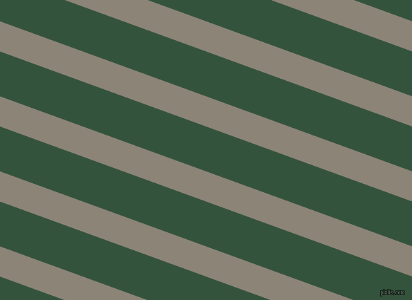 160 degree angle lines stripes, 41 pixel line width, 61 pixel line spacing, Schooner and Goblin angled lines and stripes seamless tileable