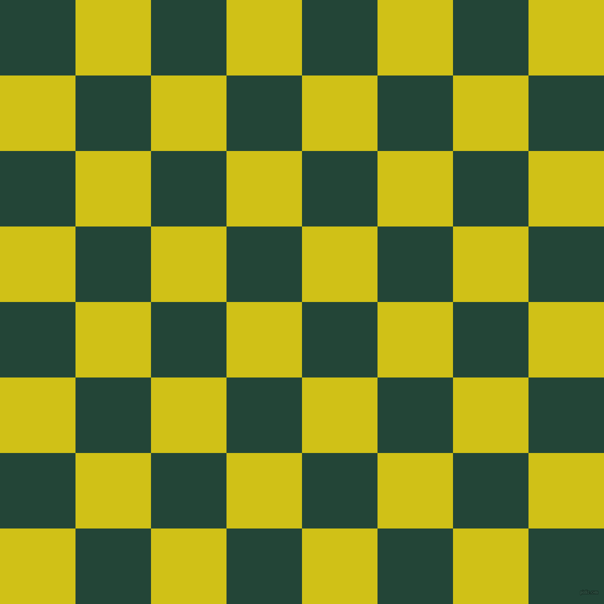 checkered chequered squares checkers background checker pattern, 148 pixel squares size, , Burnham and Bird Flower checkers chequered checkered squares seamless tileable
