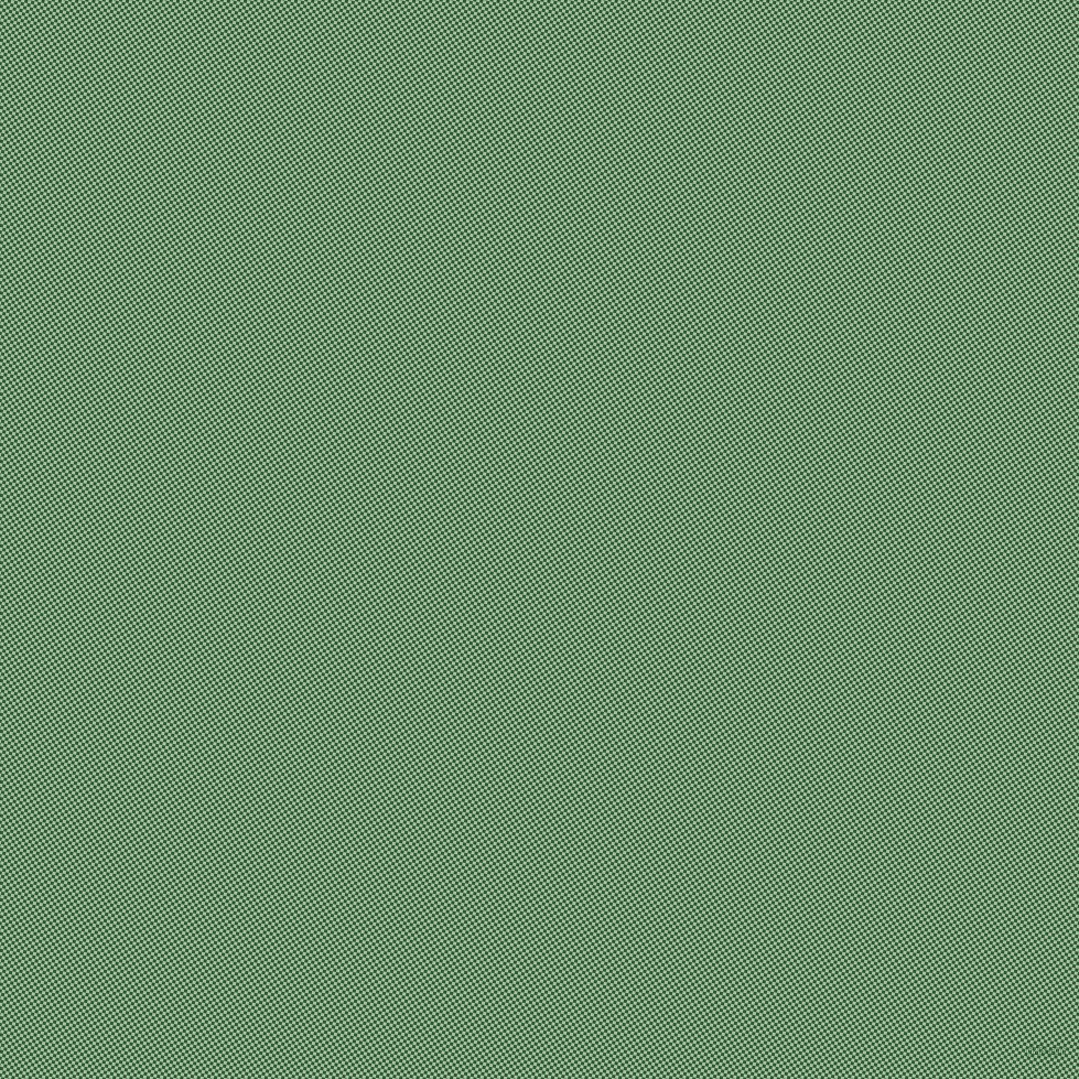 79/169 degree angle diagonal checkered chequered squares checker pattern checkers background, 3 pixel square size, , Spring Rain and Parsley checkers chequered checkered squares seamless tileable