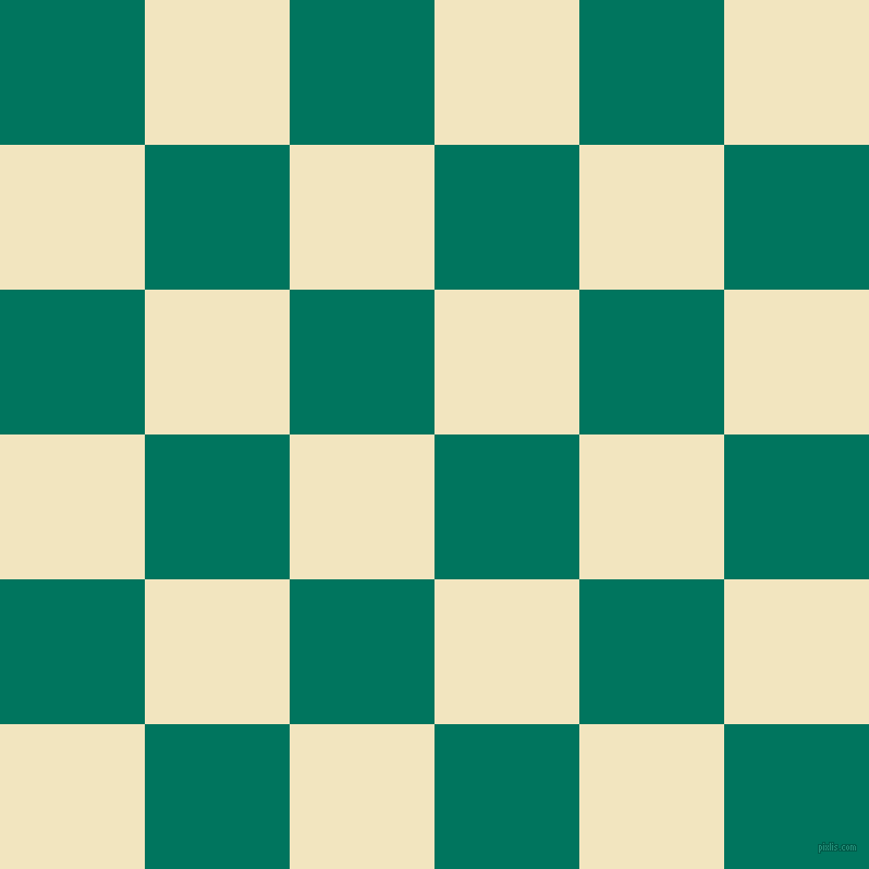 checkered chequered squares checkers background checker pattern, 133 pixel squares size, , Tropical Rain Forest and Half Colonial White checkers chequered checkered squares seamless tileable