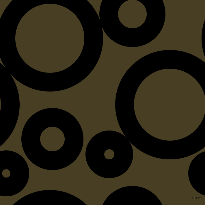 bubbles, circles, sponge, big, medium, small, 65 pixel line width, Black and Madras circles bubbles sponge soap seamless tileable