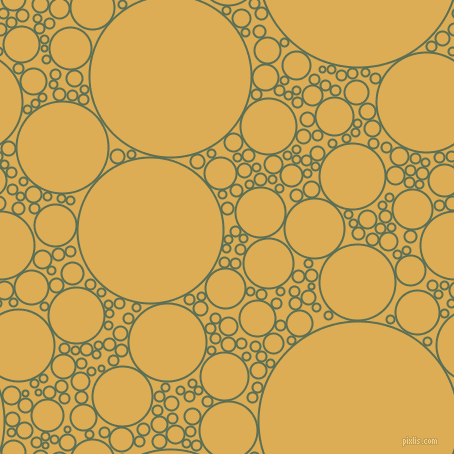 bubbles, circles, sponge, big, medium, small, 2 pixel line width, Cactus and Rob Roy circles bubbles sponge soap seamless tileable