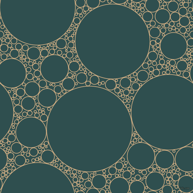 bubbles, circles, sponge, big, medium, small, 2 pixel line width, Calico and Dark Slate Grey circles bubbles sponge soap seamless tileable