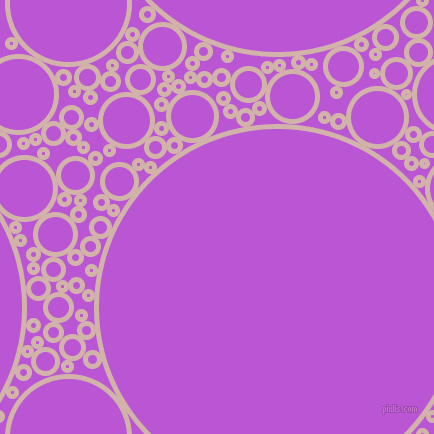 bubbles, circles, sponge, big, medium, small, 5 pixel line width, Clam Shell and Medium Orchid circles bubbles sponge soap seamless tileable