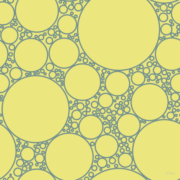bubbles, circles, sponge, big, medium, small, 5 pixel line width, Juniper and Texas circles bubbles sponge soap seamless tileable