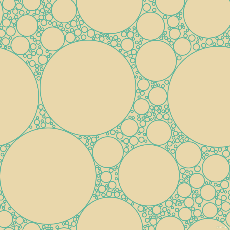 bubbles, circles, sponge, big, medium, small, 3 pixel line width, Keppel and Beeswax circles bubbles sponge soap seamless tileable