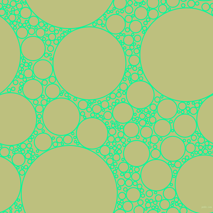 bubbles, circles, sponge, big, medium, small, 3 pixel line width, Medium Spring Green and Pine Glade circles bubbles sponge soap seamless tileable