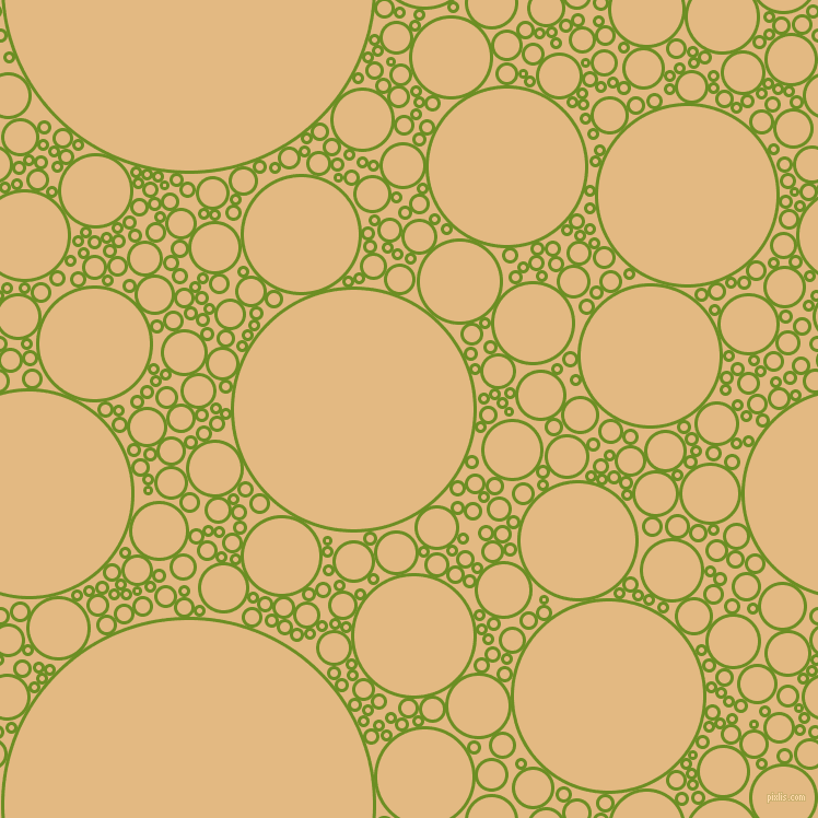 bubbles, circles, sponge, big, medium, small, 3 pixel line width, Olive Drab and Maize circles bubbles sponge soap seamless tileable