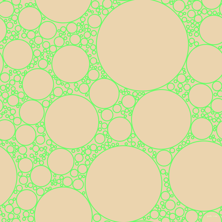 bubbles, circles, sponge, big, medium, small, 3 pixel line width, Screamin