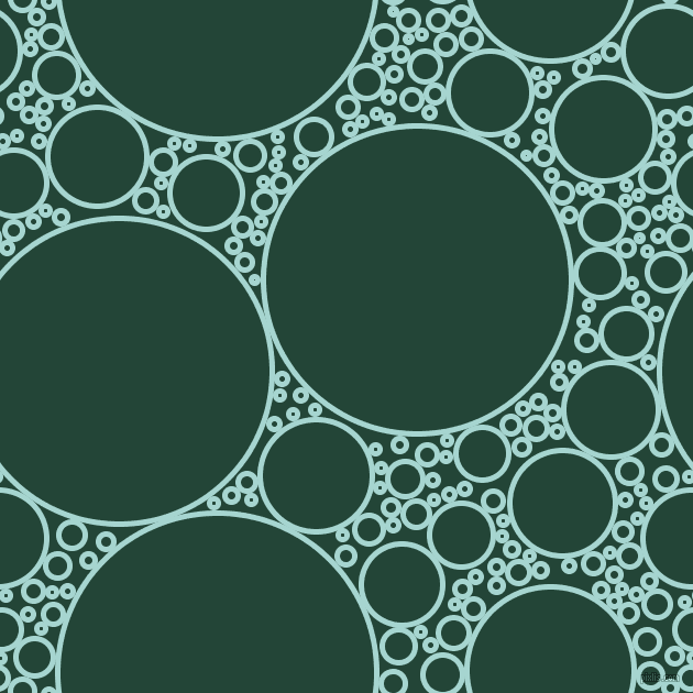 bubbles, circles, sponge, big, medium, small, 5 pixel line width, Sinbad and Burnham circles bubbles sponge soap seamless tileable
