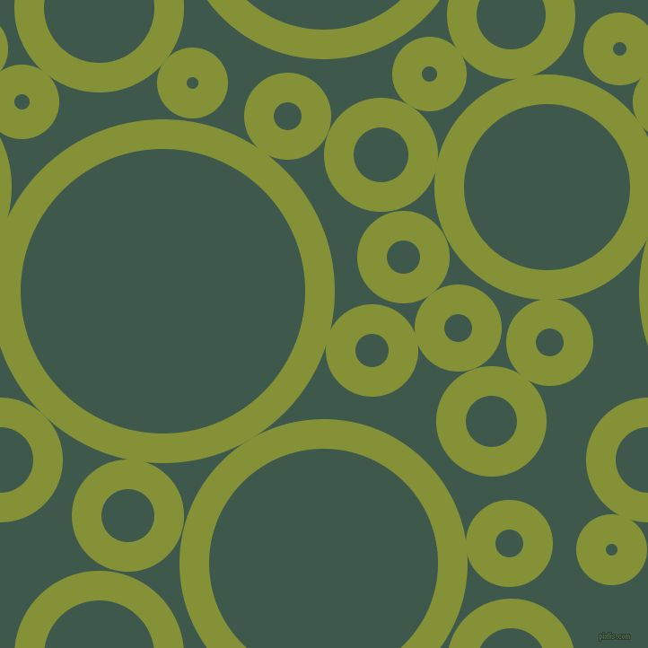 bubbles, circles, sponge, big, medium, small, 33 pixel line width, Wasabi and Plantation circles bubbles sponge soap seamless tileable