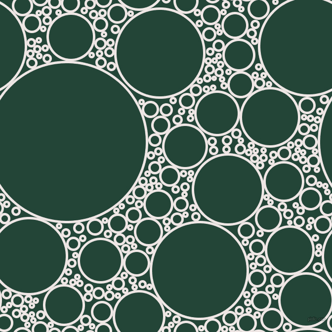 bubbles, circles, sponge, big, medium, small, 5 pixel line width, Whisper and Burnham circles bubbles sponge soap seamless tileable