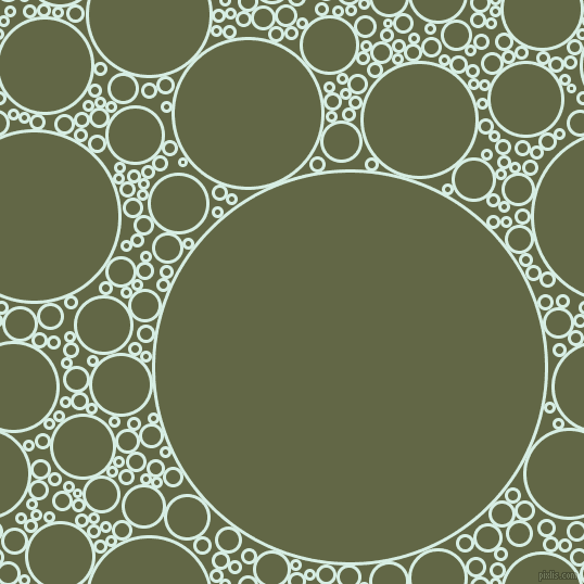 bubbles, circles, sponge, big, medium, small, 3 pixel line width, White Ice and Woodland circles bubbles sponge soap seamless tileable
