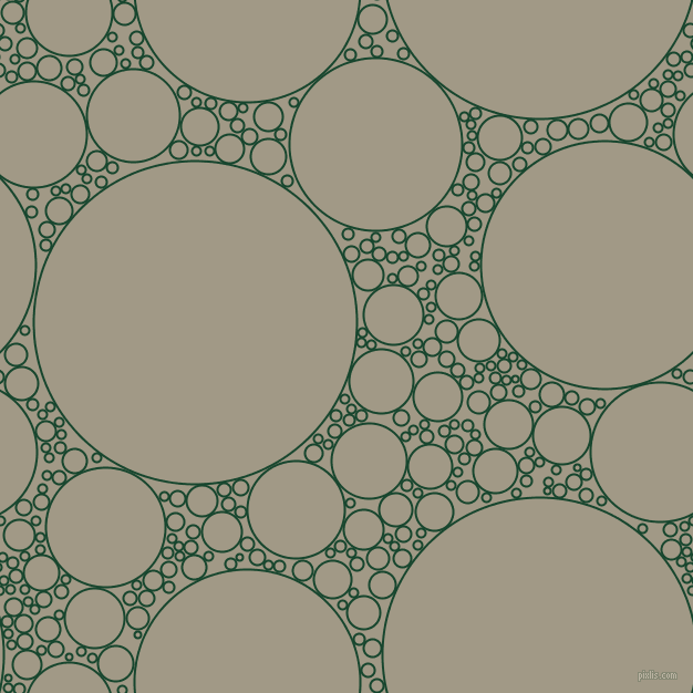 bubbles, circles, sponge, big, medium, small, 2 pixel line width, Zuccini and Nomad circles bubbles sponge soap seamless tileable