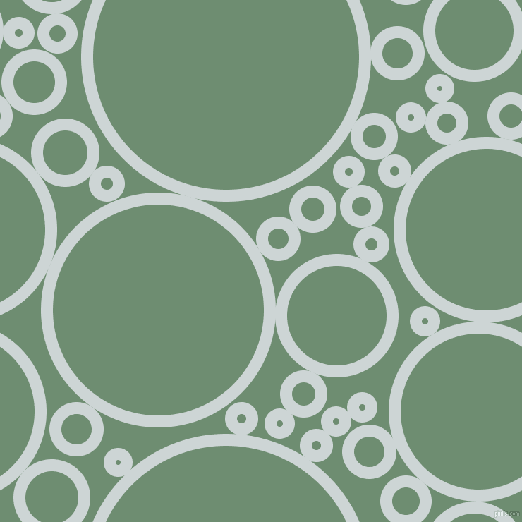 bubbles, circles, sponge, big, medium, small, 17 pixel line width, Zumthor and Laurel circles bubbles sponge soap seamless tileable