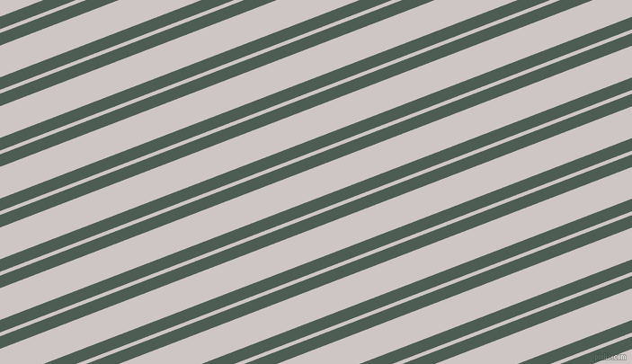 21 degree angles dual stripes lines, 13 pixel lines width, 4 and 33 pixels line spacing, dual two line striped seamless tileable