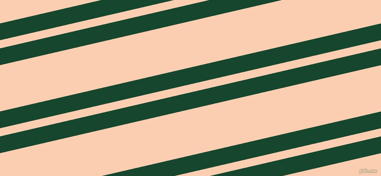 13 degree angle dual stripe lines, 33 pixel lines width, 16 and 91 pixel line spacing, dual two line striped seamless tileable