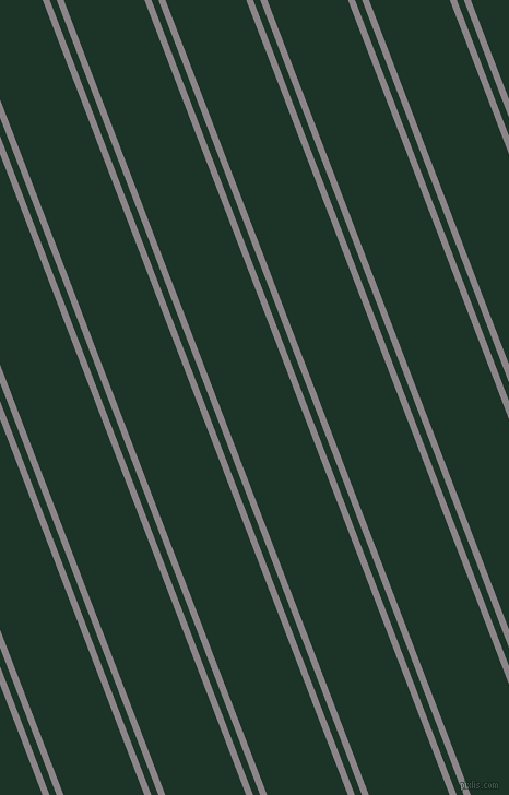 111 degree angles dual striped lines, 6 pixel lines width, 6 and 69 pixels line spacing, dual two line striped seamless tileable
