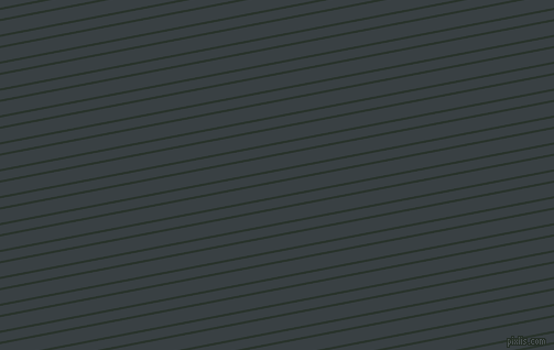 11 degree angles dual striped lines, 2 pixel lines width, 8 and 12 pixels line spacing, dual two line striped seamless tileable
