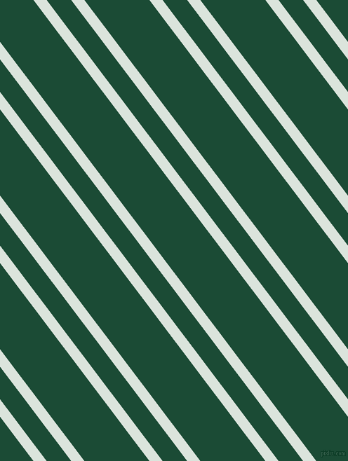 127 degree angles dual stripe lines, 15 pixel lines width, 28 and 74 pixels line spacing, dual two line striped seamless tileable