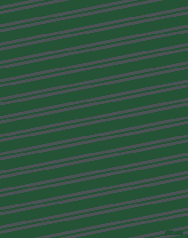 11 degree angles dual stripes lines, 6 pixel lines width, 4 and 21 pixels line spacing, dual two line striped seamless tileable