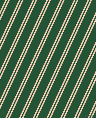 65 degree angle dual stripes line, 5 pixel line width, 4 and 29 pixel line spacing, dual two line striped seamless tileable