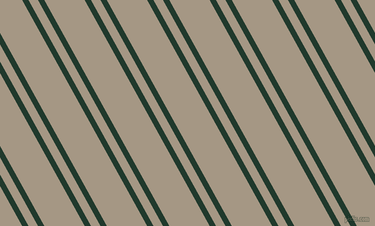 119 degree angles dual stripe line, 8 pixel line width, 12 and 51 pixels line spacing, dual two line striped seamless tileable