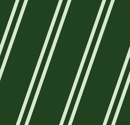 71 degree angles dual stripes line, 12 pixel line width, 16 and 100 pixels line spacing, dual two line striped seamless tileable