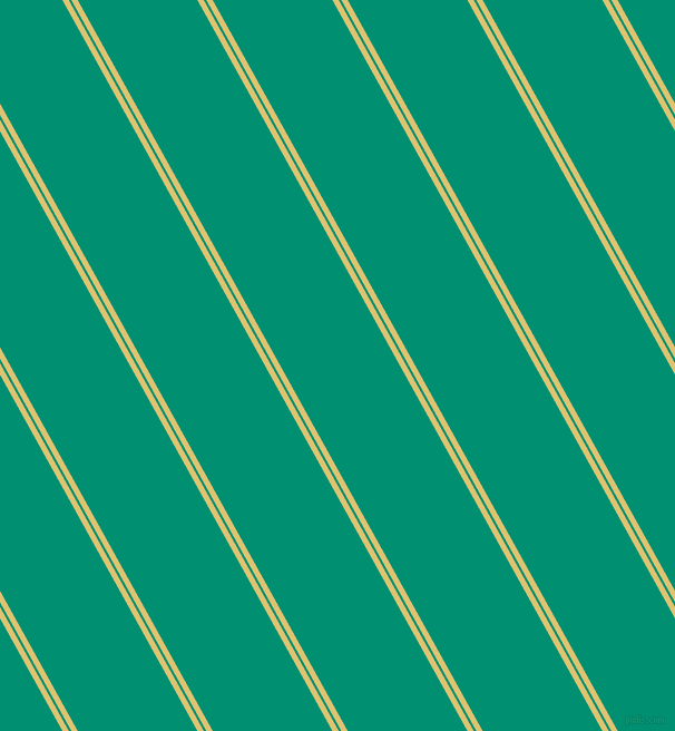 119 degree angles dual striped lines, 5 pixel lines width, 2 and 94 pixels line spacing, dual two line striped seamless tileable