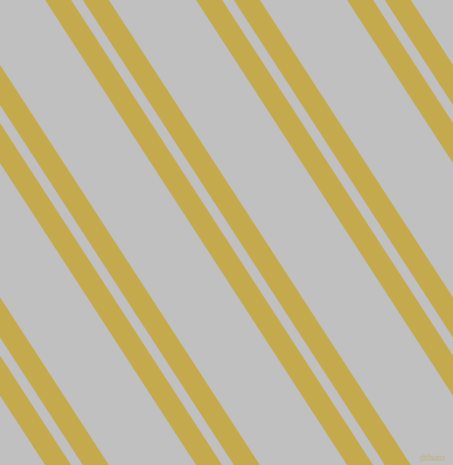 123 degree angles dual striped lines, 31 pixel lines width, 14 and 104 pixels line spacing, dual two line striped seamless tileable