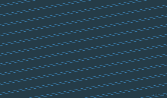 10 degree angles dual stripes lines, 1 pixel lines width, 4 and 26 pixels line spacing, dual two line striped seamless tileable