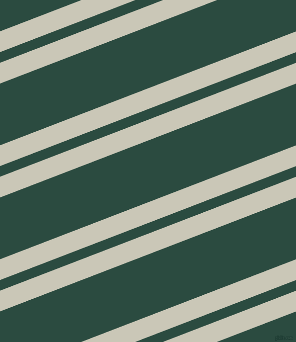 21 degree angle dual stripe line, 39 pixel line width, 20 and 116 pixel line spacing, dual two line striped seamless tileable