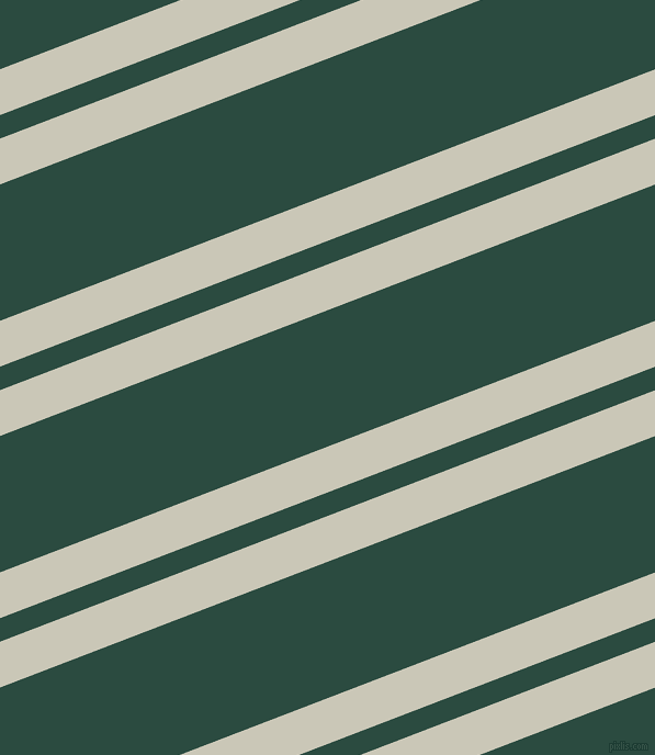 21 degree angle dual stripe line, 39 pixel line width, 20 and 116 pixel line spacing, Chrome White and Te Papa Green dual two line striped seamless tileable