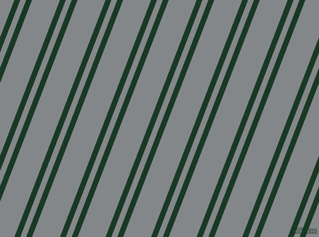 69 degree angle dual striped lines, 8 pixel lines width, 8 and 38 pixel line spacing, Deep Fir and Aluminium dual two line striped seamless tileable