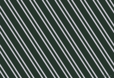123 degree angles dual stripe line, 6 pixel line width, 8 and 24 pixels line spacing, Ghost and Holly dual two line striped seamless tileable