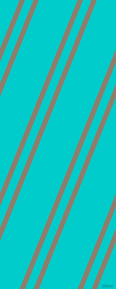 68 degree angle dual stripes line, 17 pixel line width, 26 and 120 pixel line spacing, Squirrel and Robin
