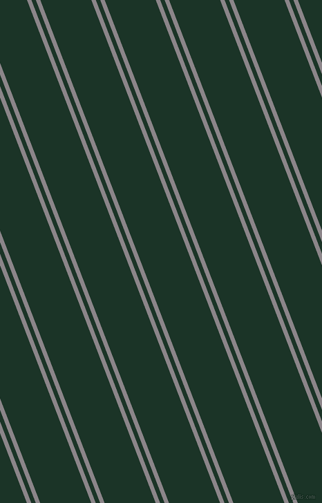 111 degree angles dual striped lines, 6 pixel lines width, 6 and 69 pixels line spacing, Taupe Grey and Cardin Green dual two line striped seamless tileable