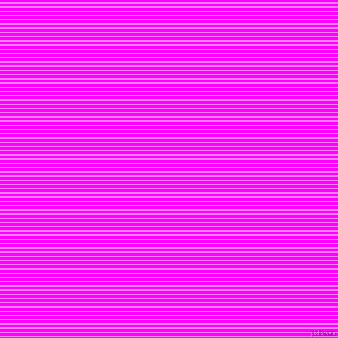 horizontal lines stripes, 2 pixel line width, 4 pixel line spacing, Fuchsia Pink and Magenta horizontal lines and stripes seamless tileable
