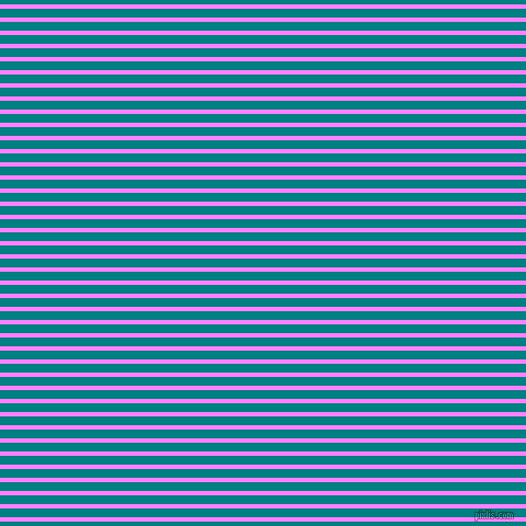 horizontal lines stripes, 4 pixel line width, 8 pixel line spacing, Fuchsia Pink and Teal horizontal lines and stripes seamless tileable