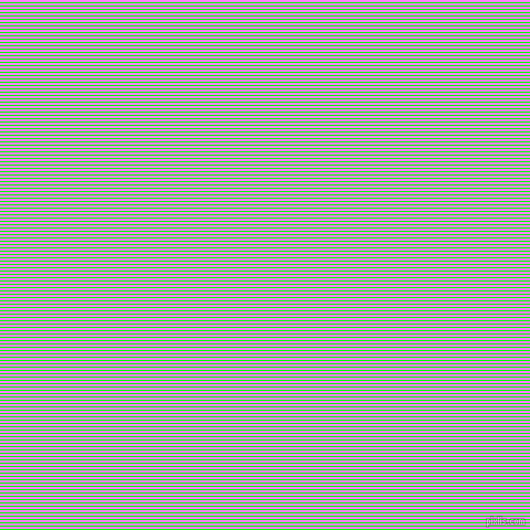horizontal lines stripes, 1 pixel line width, 2 pixel line spacing, Lime and Fuchsia Pink horizontal lines and stripes seamless tileable