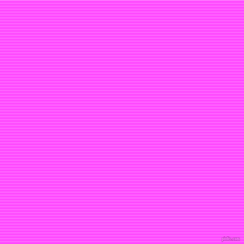horizontal lines stripes, 1 pixel line width, 2 pixel line spacing, Magenta and Fuchsia Pink horizontal lines and stripes seamless tileable