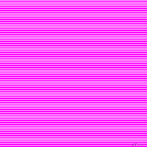 horizontal lines stripes, 2 pixel line width, 4 pixel line spacing, Magenta and Fuchsia Pink horizontal lines and stripes seamless tileable