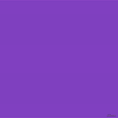horizontal lines stripes, 2 pixel line width, 2 pixel line spacing, Navy and Fuchsia Pink horizontal lines and stripes seamless tileable