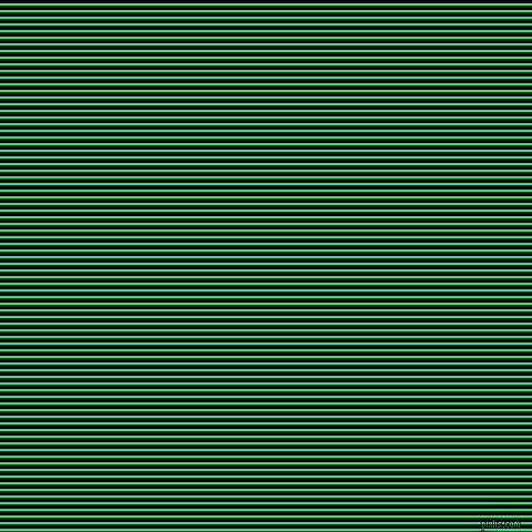 horizontal lines stripes, 2 pixel line width, 4 pixel line spacing, Spring Green and Black horizontal lines and stripes seamless tileable