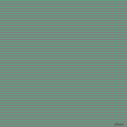 horizontal lines stripes, 1 pixel line width, 8 pixel line spacing, Spring Green and Grey horizontal lines and stripes seamless tileable